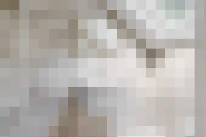 Mesdaglaan 10 A Bosch en Duin thumbnail 57