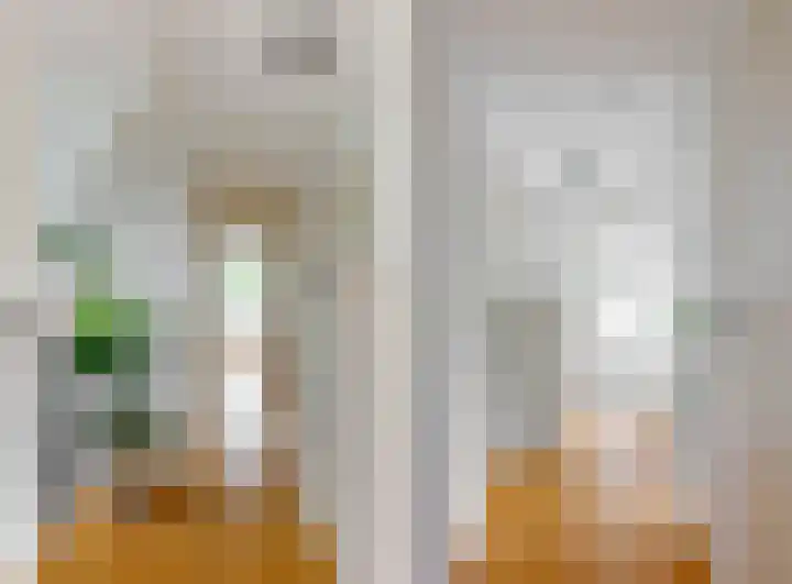 Mesdaglaan 10 A Bosch en Duin thumbnail 59