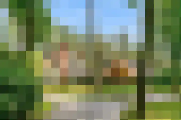 Mesdaglaan 10 A Bosch en Duin thumbnail 6