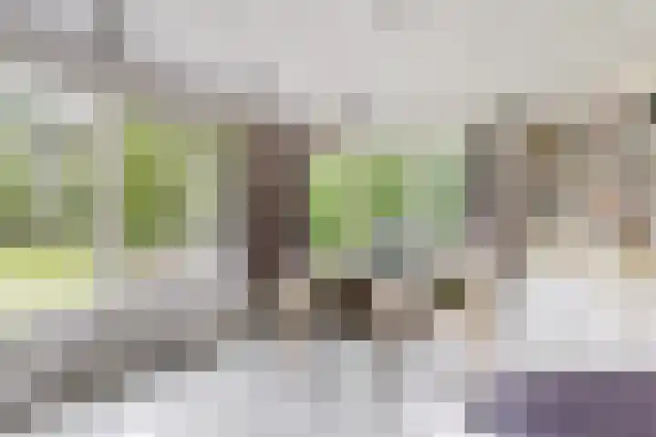 Mesdaglaan 10 A Bosch en Duin thumbnail 63