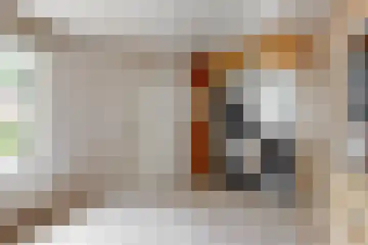 Mesdaglaan 10 A Bosch en Duin thumbnail 66