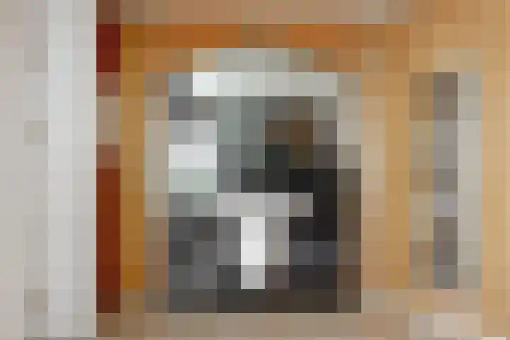 Mesdaglaan 10 A Bosch en Duin thumbnail 67