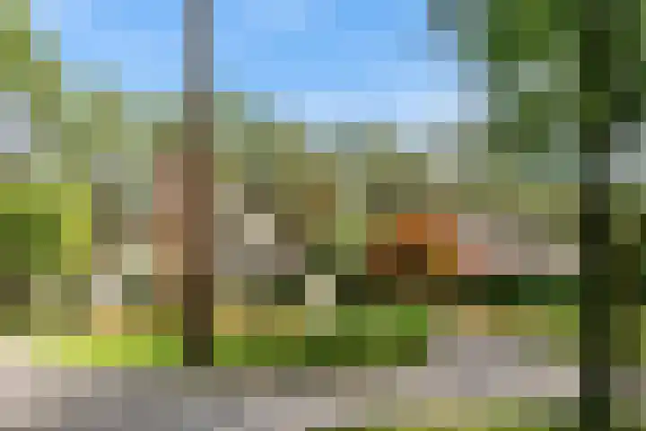 Mesdaglaan 10 A Bosch en Duin thumbnail 7