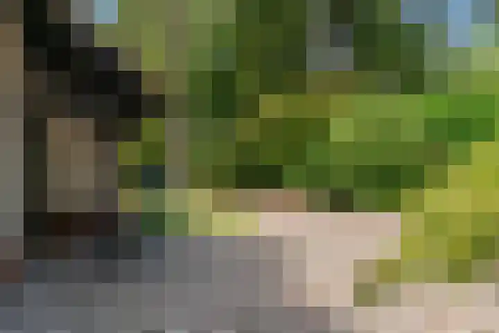 Mesdaglaan 10 A Bosch en Duin thumbnail 70