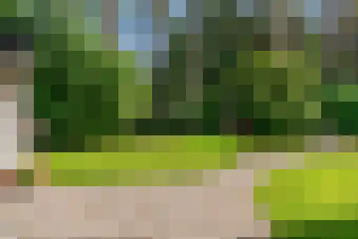 Mesdaglaan 10 A Bosch en Duin thumbnail 71