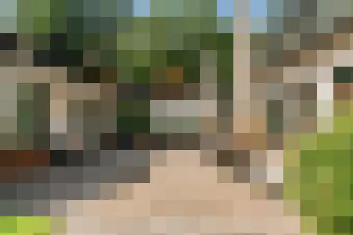 Mesdaglaan 10 A Bosch en Duin thumbnail 72