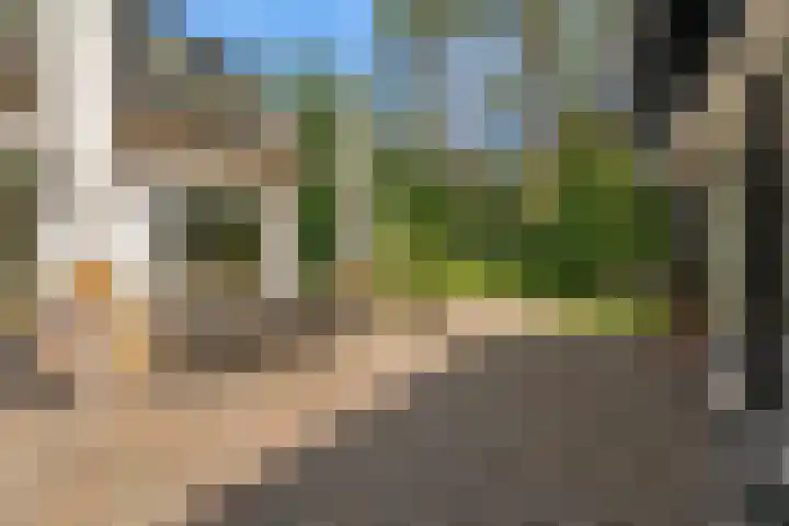 Mesdaglaan 10 A Bosch en Duin thumbnail 76