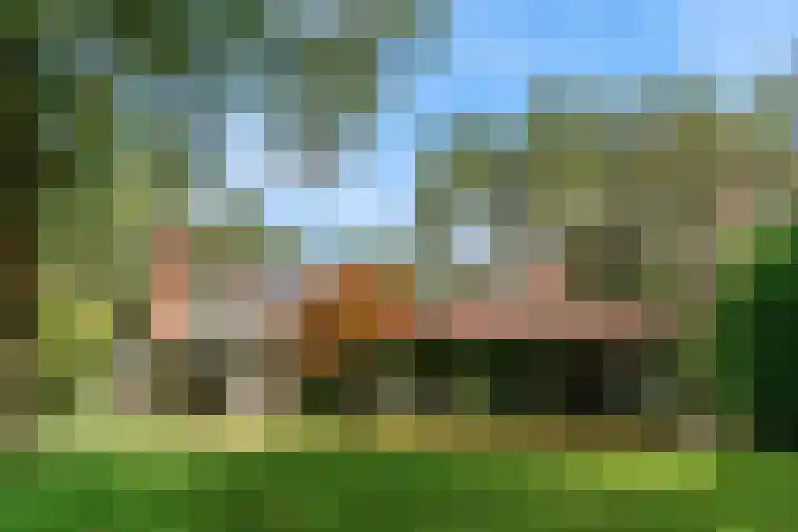 Mesdaglaan 10 A Bosch en Duin thumbnail 8