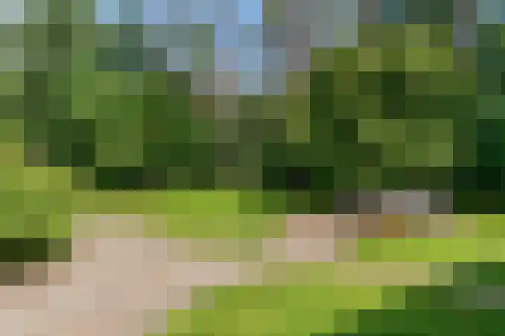 Mesdaglaan 10 A Bosch en Duin thumbnail 81