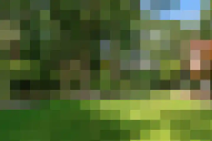 Mesdaglaan 10 A Bosch en Duin thumbnail 83