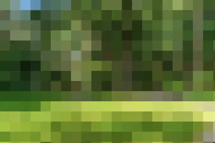 Mesdaglaan 10 A Bosch en Duin thumbnail 84