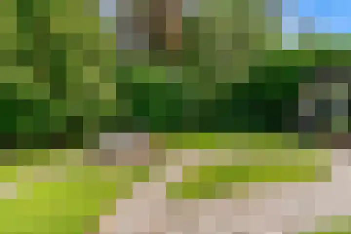 Mesdaglaan 10 A Bosch en Duin thumbnail 85