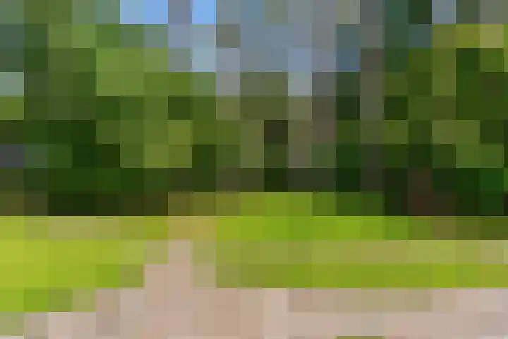 Mesdaglaan 10 A Bosch en Duin thumbnail 86