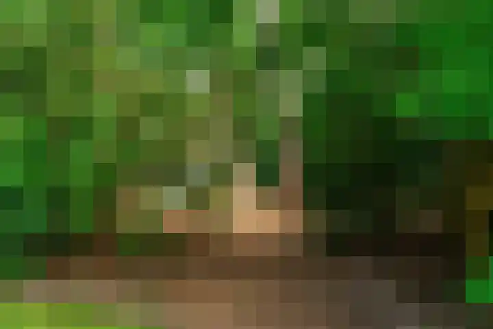Mesdaglaan 10 A Bosch en Duin thumbnail 87