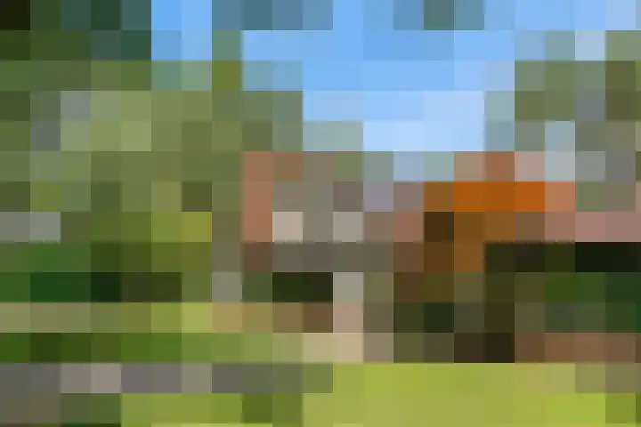 Mesdaglaan 10 A Bosch en Duin thumbnail 9