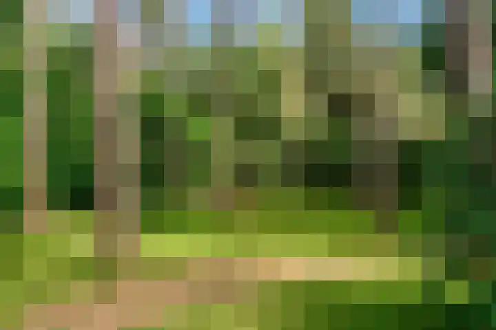 Mesdaglaan 10 A Bosch en Duin thumbnail 91