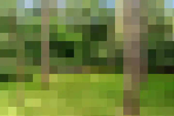 Mesdaglaan 10 A Bosch en Duin thumbnail 93
