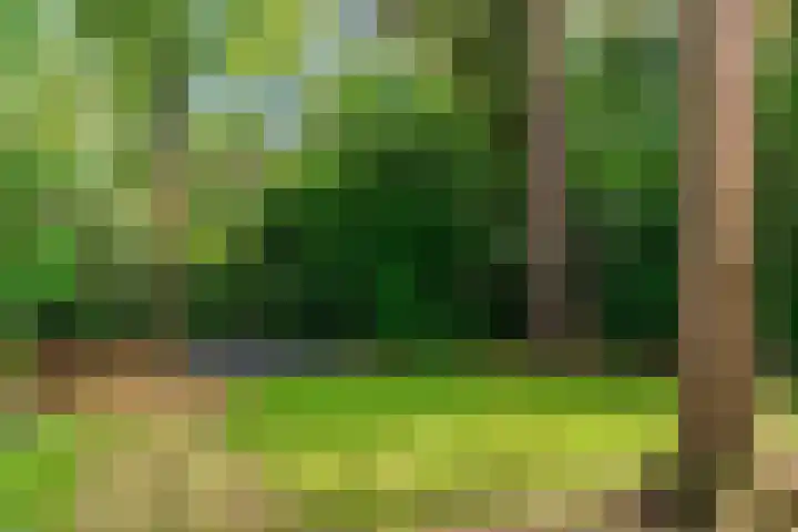 Mesdaglaan 10 A Bosch en Duin thumbnail 94