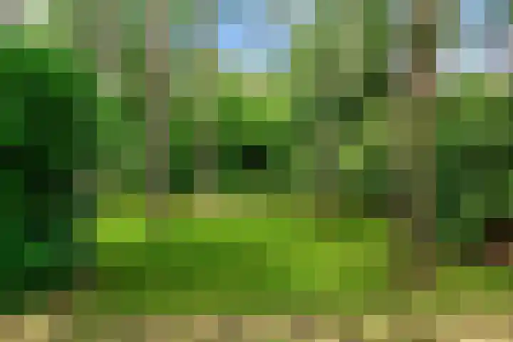 Mesdaglaan 10 A Bosch en Duin thumbnail 95
