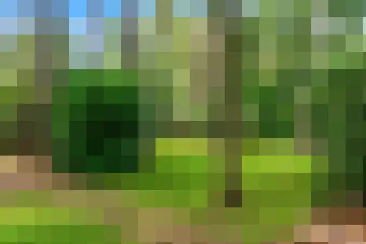Mesdaglaan 10 A Bosch en Duin thumbnail 97