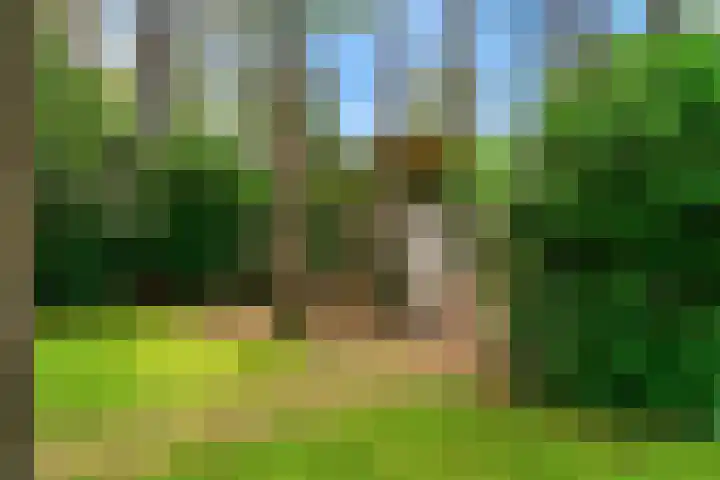 Mesdaglaan 10 A Bosch en Duin thumbnail 98