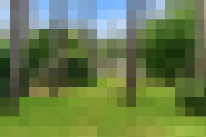 Mesdaglaan 10 A Bosch en Duin thumbnail 99