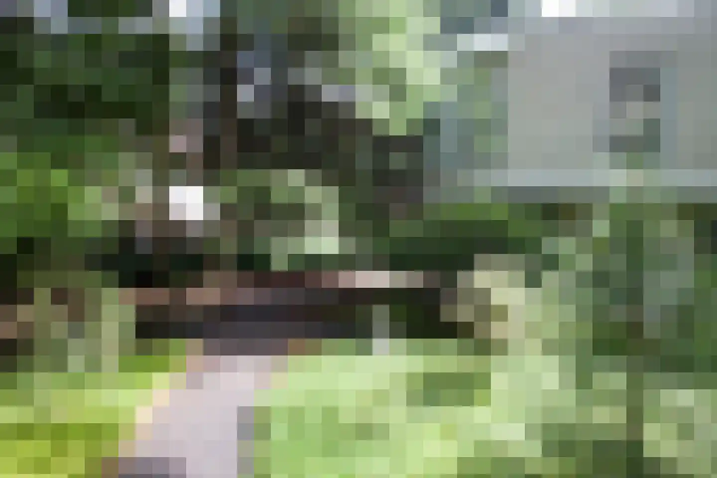 Mesdaglaan 12 D Bosch en Duin thumbnail 20
