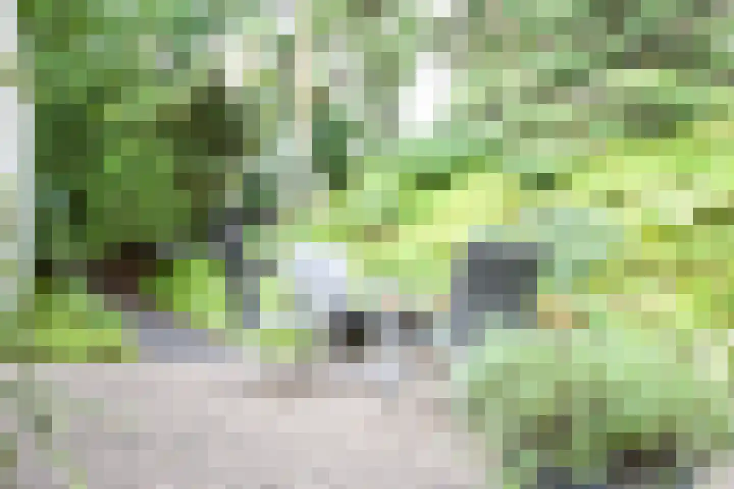 Mesdaglaan 12 D Bosch en Duin thumbnail 22