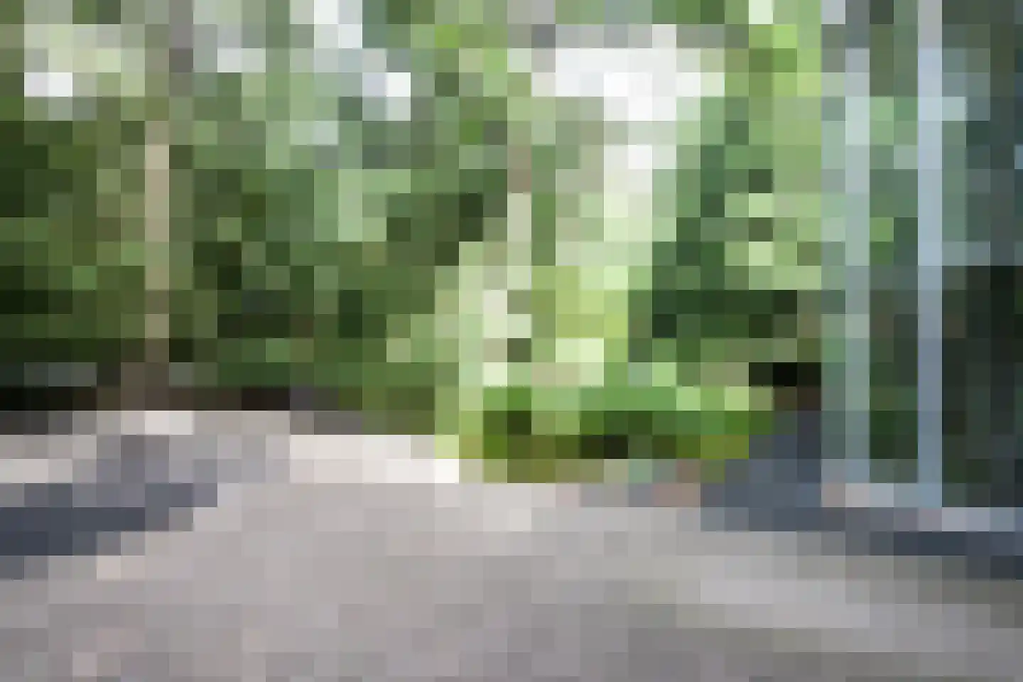 Mesdaglaan 12 D Bosch en Duin thumbnail 23