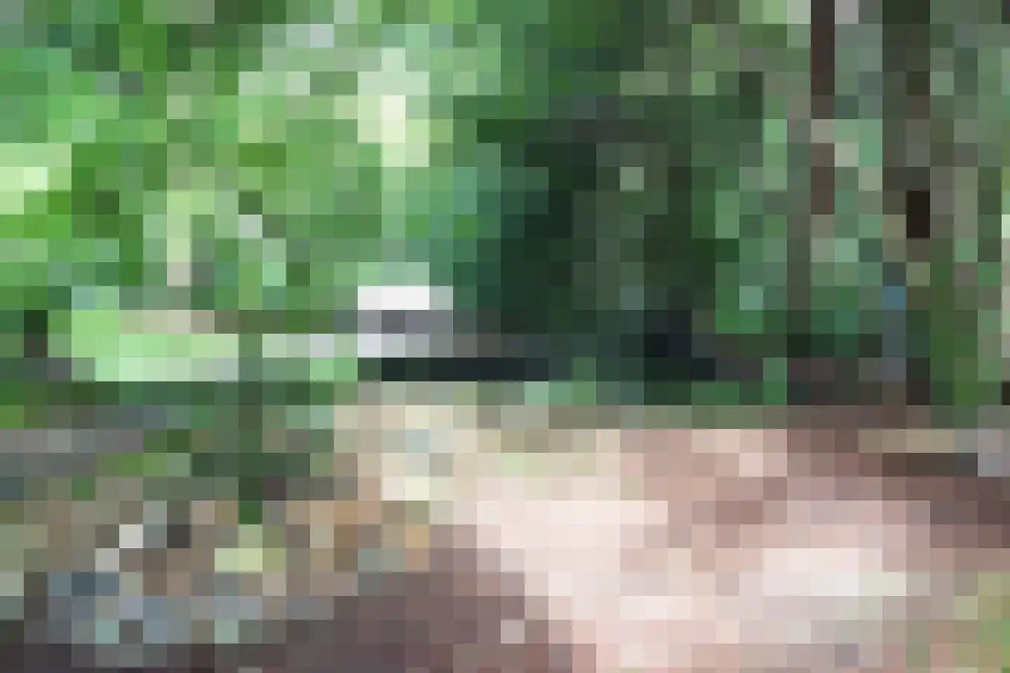 Mesdaglaan 12 D Bosch en Duin thumbnail 24