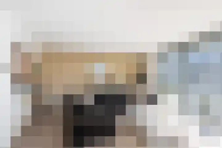 Mesdaglaan 123 Maassluis thumbnail 15