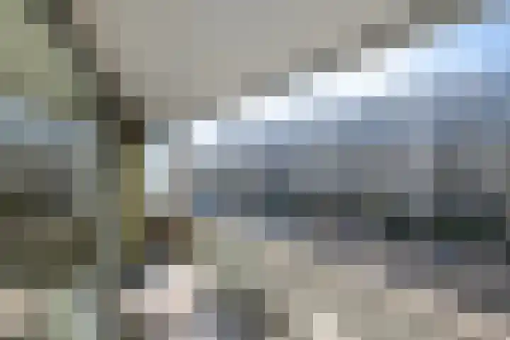 Mesdaglaan 123 Maassluis thumbnail 22