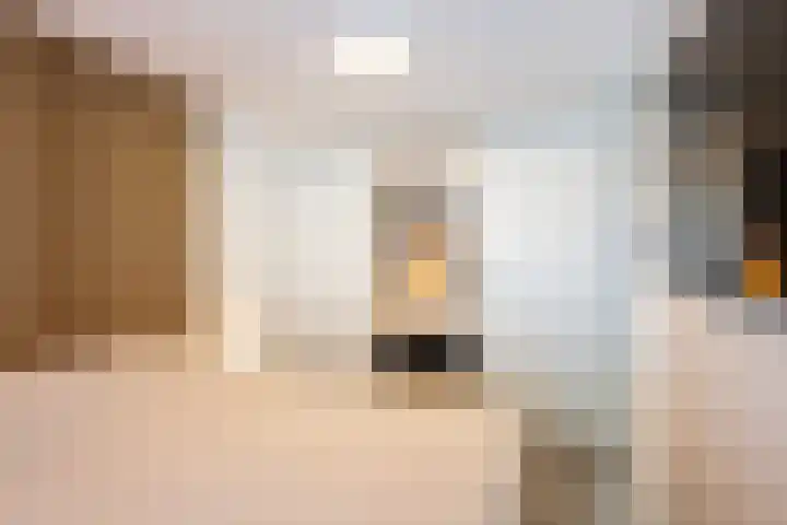Mesdaglaan 123 Maassluis thumbnail 26