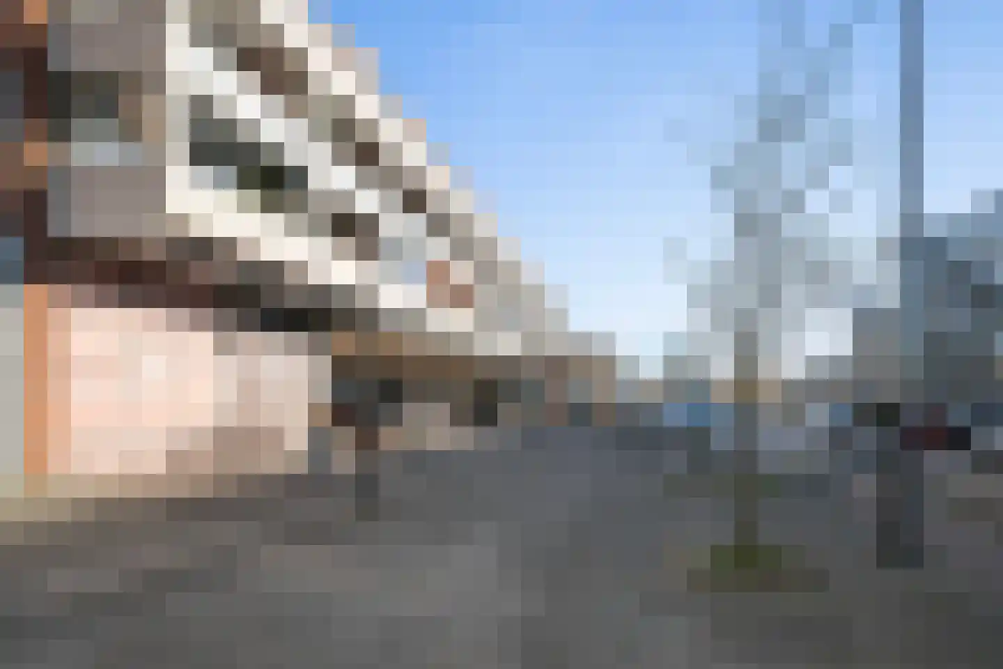Mesdaglaan 123 Maassluis thumbnail 36