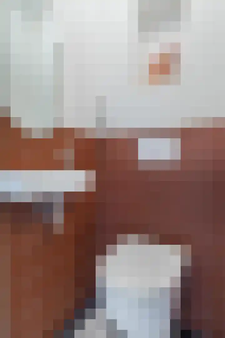 Mesdaglaan 13 Arnhem thumbnail 11