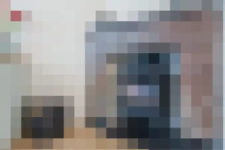 Mesdaglaan 13 Arnhem thumbnail 16