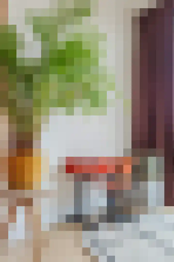 Mesdaglaan 13 Arnhem thumbnail 18