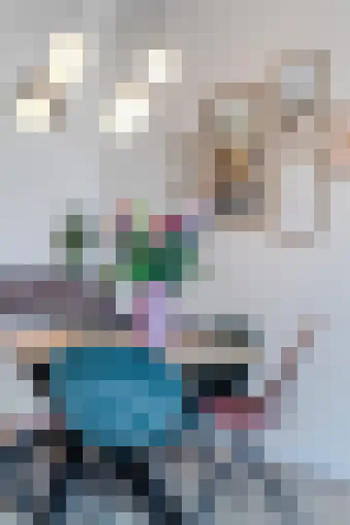 Mesdaglaan 13 Arnhem thumbnail 22