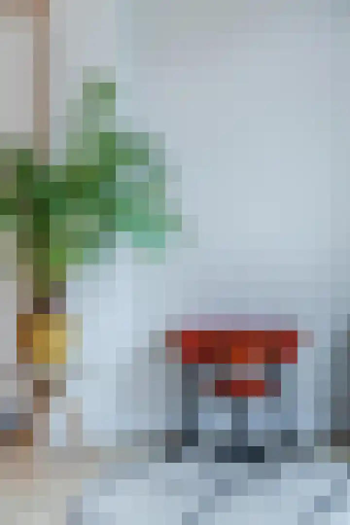 Mesdaglaan 13 Arnhem thumbnail 23