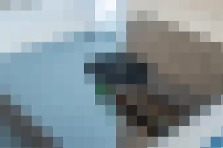 Mesdaglaan 13 Arnhem thumbnail 28