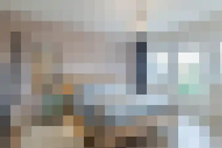 Mesdaglaan 13 Arnhem thumbnail 30