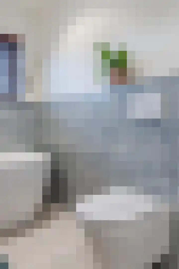 Mesdaglaan 13 Arnhem thumbnail 43