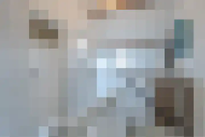 Mesdaglaan 13 Arnhem thumbnail 45