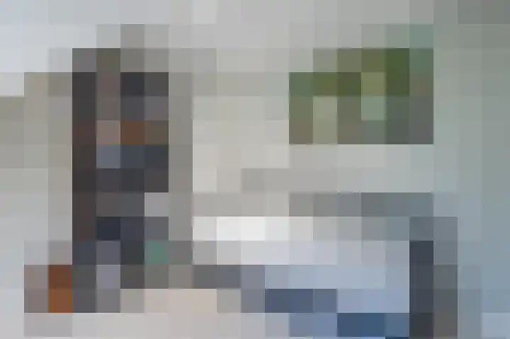 Mesdaglaan 13 Arnhem thumbnail 47