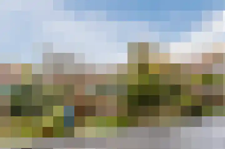 Mesdaglaan 13 Arnhem thumbnail 56