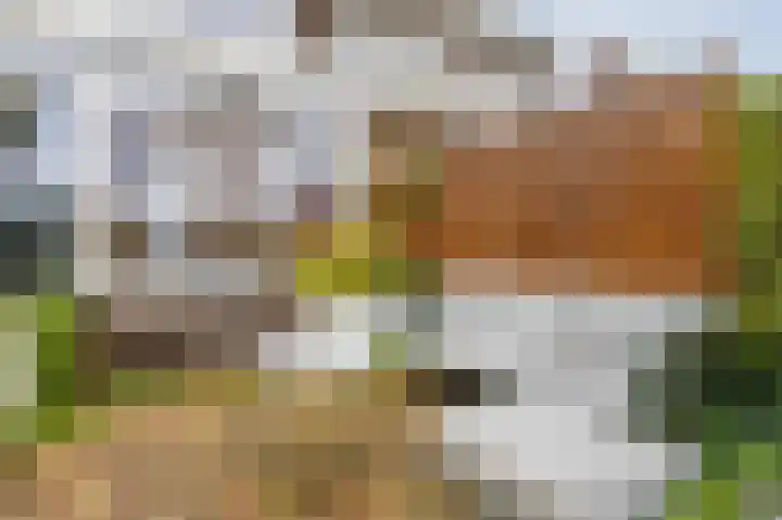 Mesdaglaan 13 Arnhem thumbnail 59