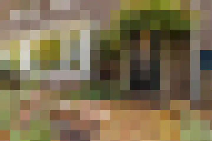 Mesdaglaan 13 Arnhem thumbnail 6