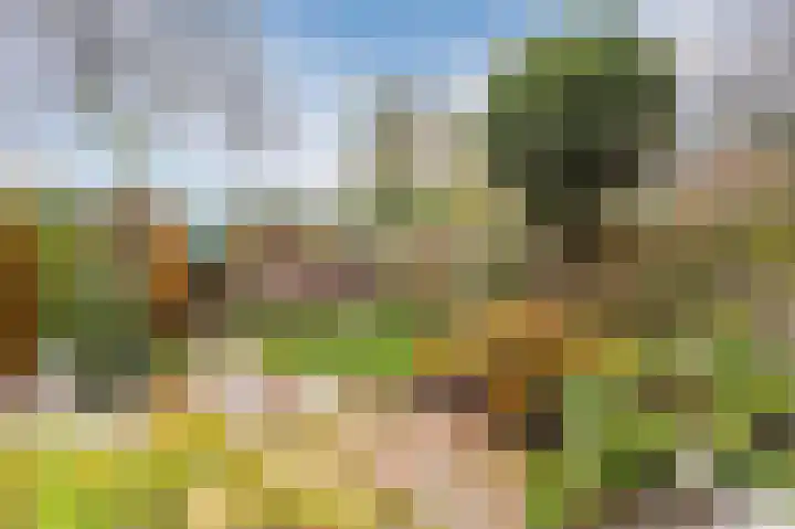 Mesdaglaan 13 Arnhem thumbnail 60