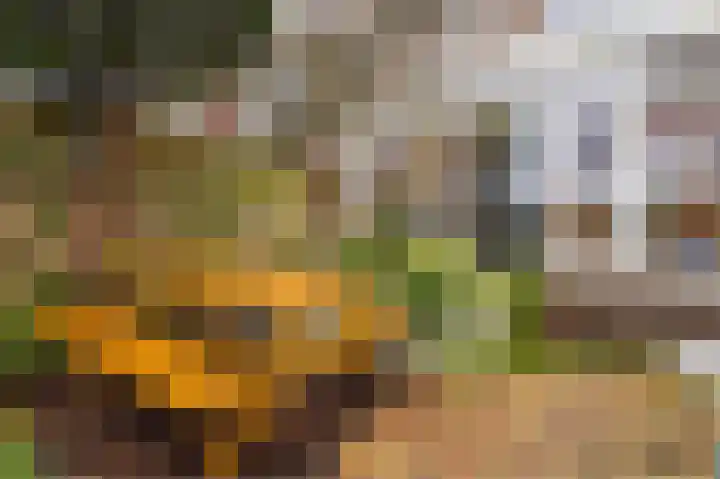 Mesdaglaan 13 Arnhem thumbnail 61