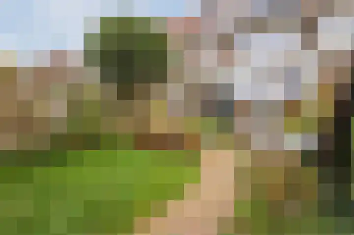 Mesdaglaan 13 Arnhem thumbnail 64